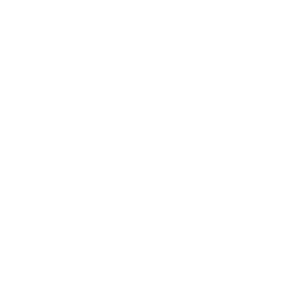 Netitude